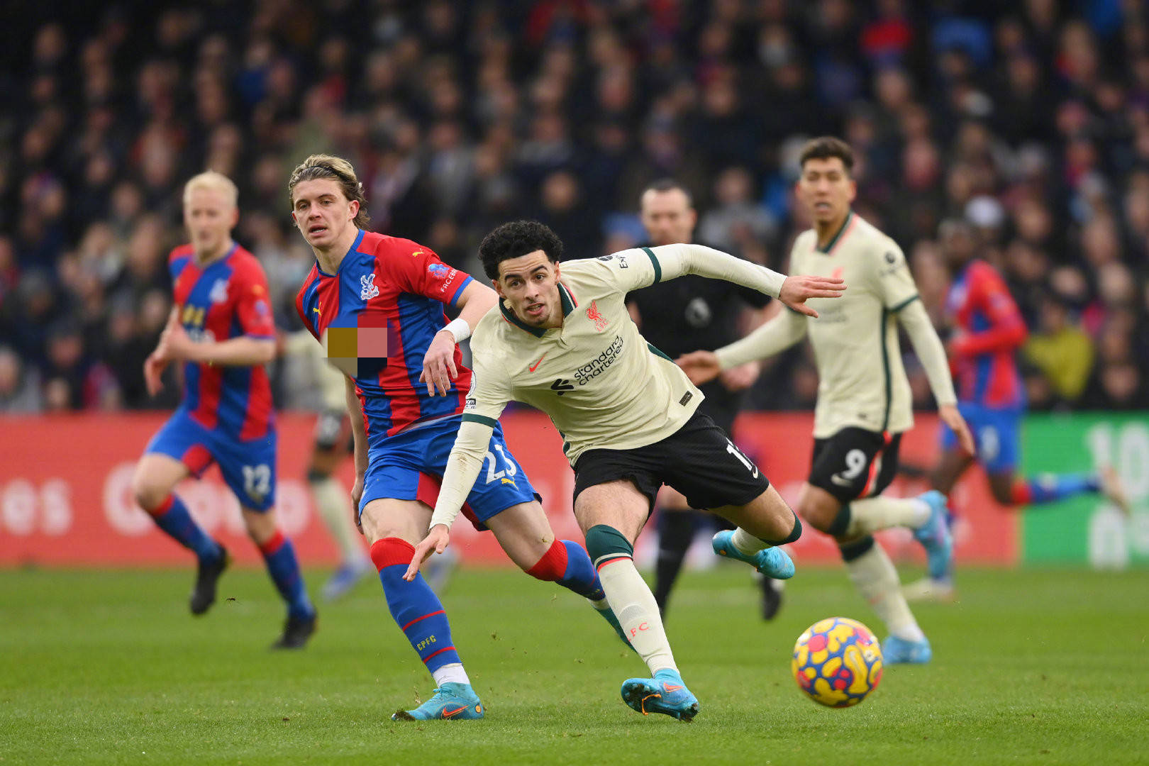 在亚冬会中 在亚冬会中